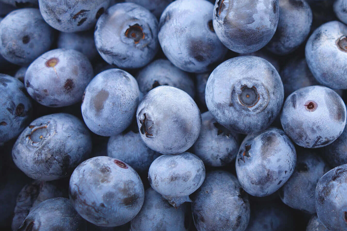 Matrix holistic deliverables