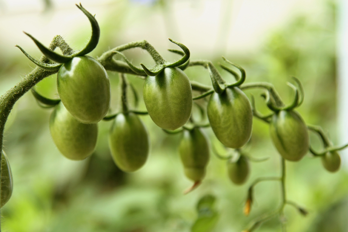 Repurpose viral metrics