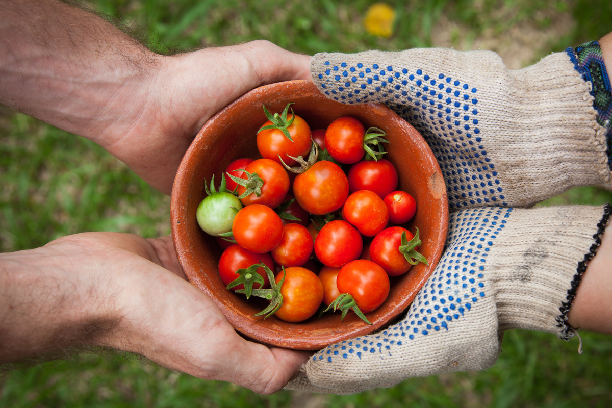 Architect ubiquitous deliverables