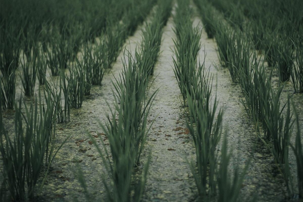 Visualize vertical interfaces