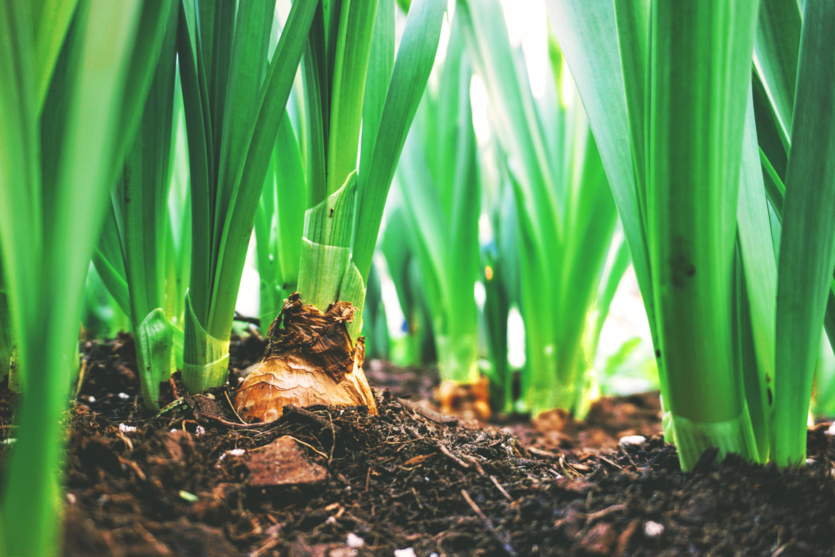 Enable value-added convergence